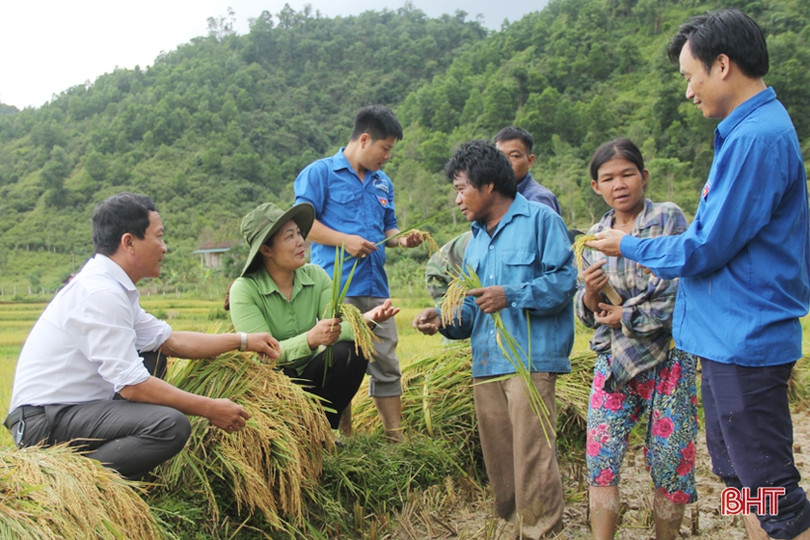 Bản Rào Tre được mùa lúa mới