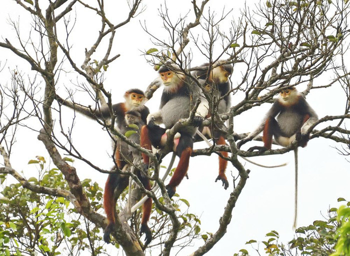 Khám phá 30 địa điểm du lịch Việt Nam ảnh 9 kham pha 30 dia diem du lich viet nam