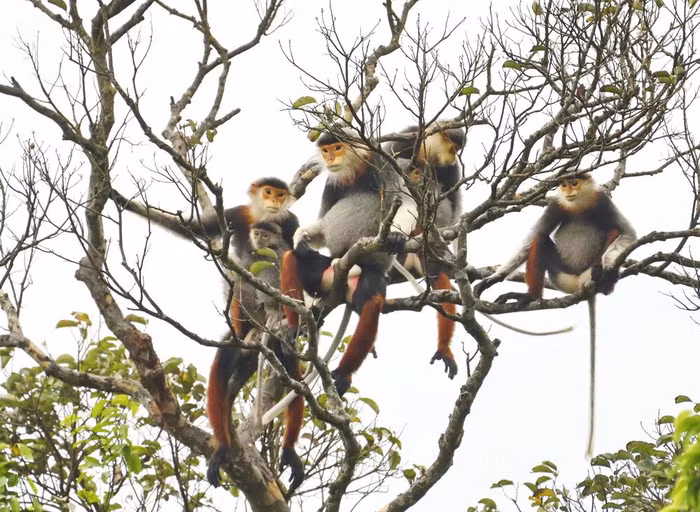 kham pha 30 dia diem du lich viet nam