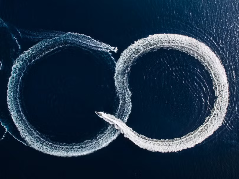 Thế giới ấn tượng từ góc nhìn loài chim