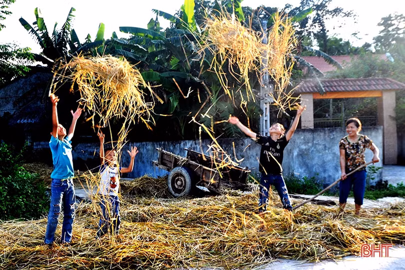 Niềm vui mùa gặt