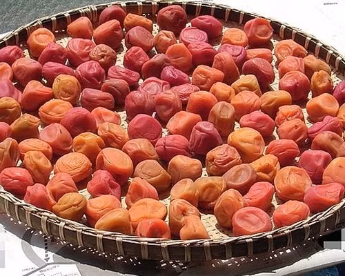 Mùa mận về! Tràn trề các món ăn siêu hấp dẫn từ mận