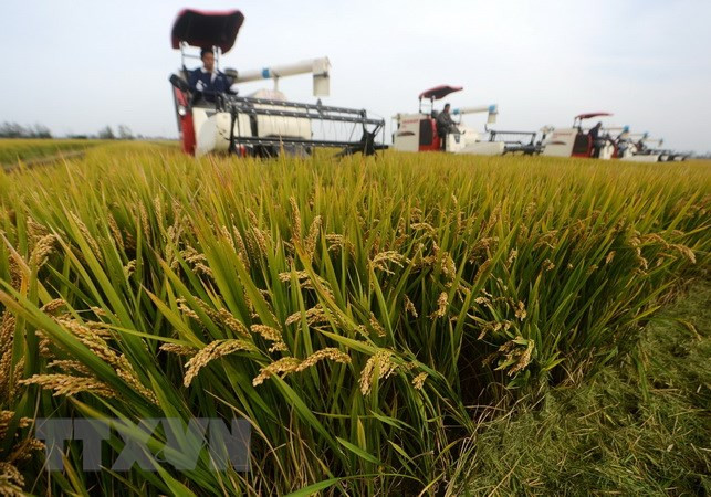 Các nước Đông Nam Á sẽ thiệt hại trầm trọng vì biến đổi khí hậu