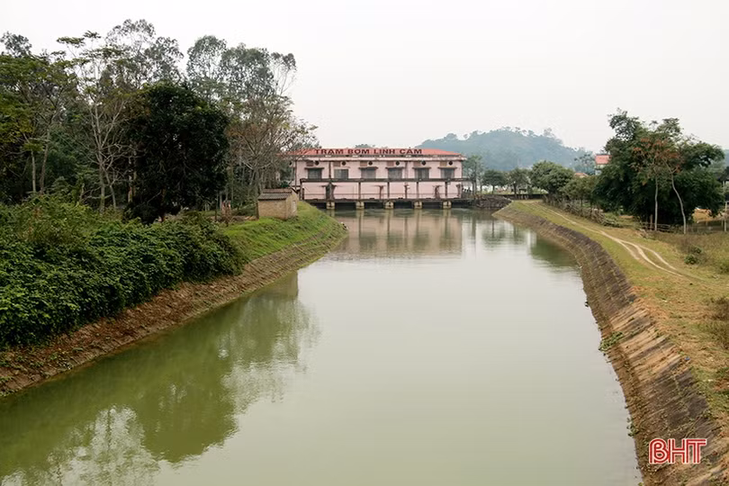 Niềm vui mùa gặt