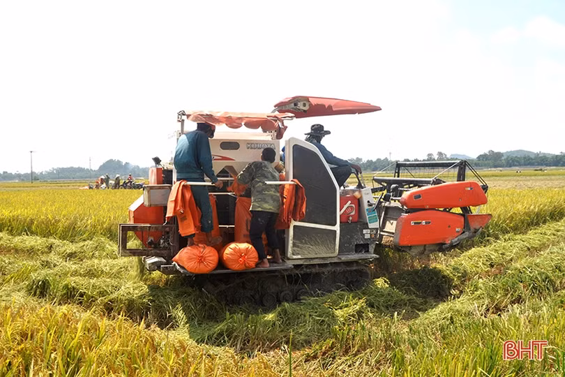 Niềm vui mùa gặt