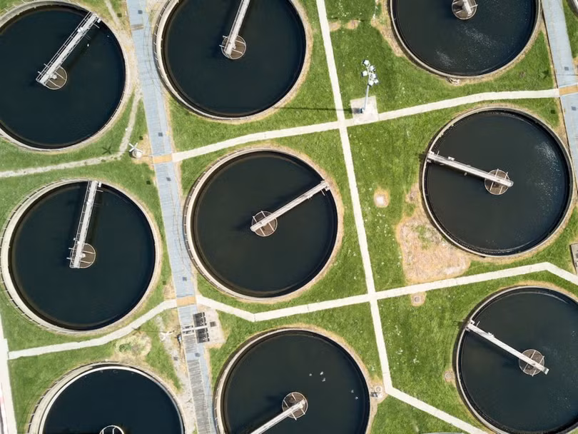 Thế giới ấn tượng từ góc nhìn loài chim