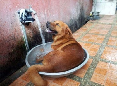 nhung kieu giai nhiet mua he ba dao den tung hat gao