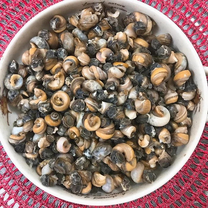 bun oc chuan me nau ca nha deu me