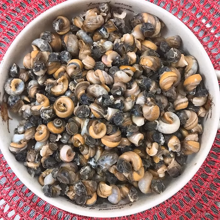 bun oc chuan me nau ca nha deu me