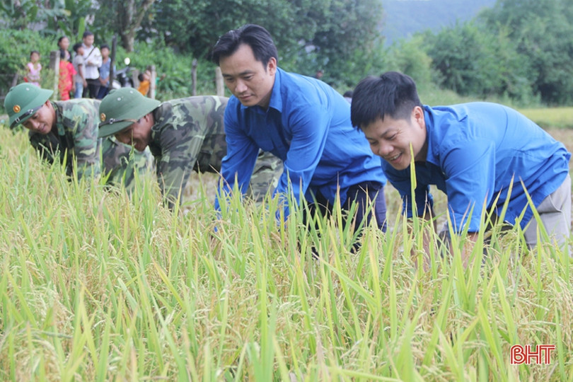 Bản Rào Tre được mùa lúa mới