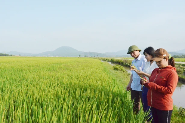 thuc hien nghi quyet 26 chinh sach tam nong giup xa ngheo but pha