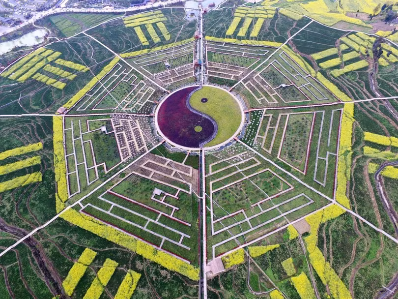 Thế giới ấn tượng từ góc nhìn loài chim