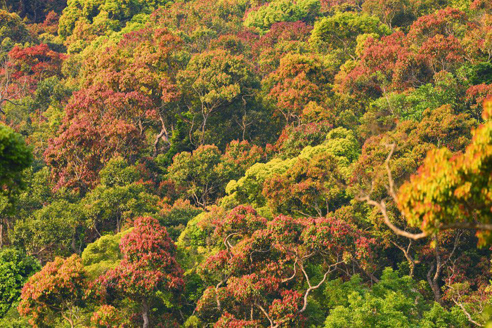 Khám phá 30 địa điểm du lịch Việt Nam ảnh 10 kham pha 30 dia diem du lich viet nam