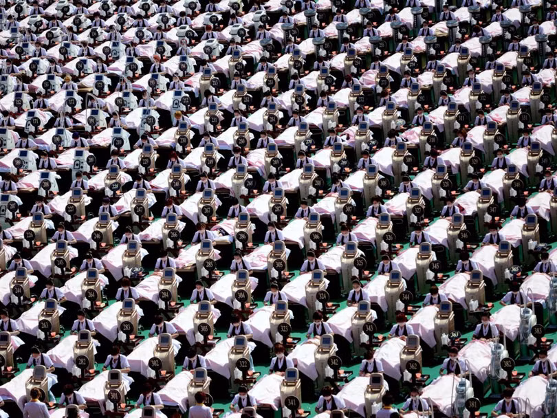 Thế giới ấn tượng từ góc nhìn loài chim