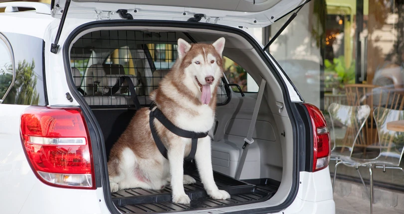 10 lý do khiến khách hàng “mê” xe SUV