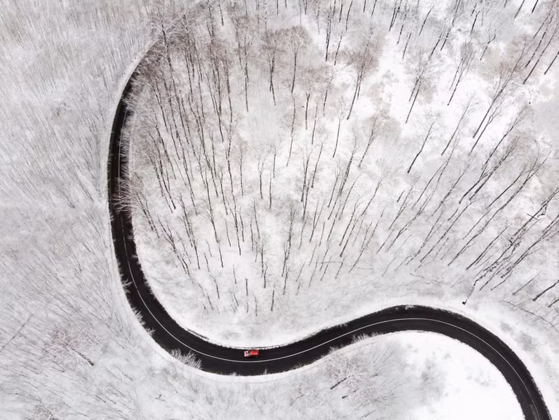 Thế giới ấn tượng từ góc nhìn loài chim