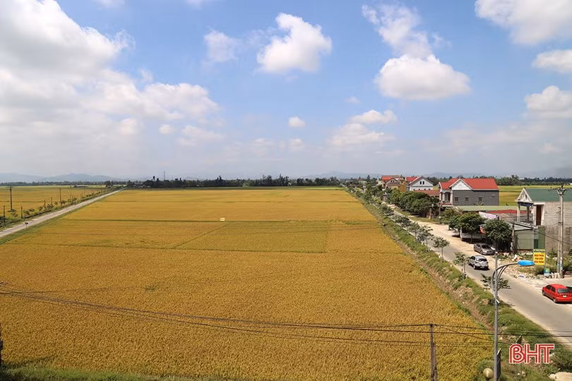 Niềm vui mùa gặt