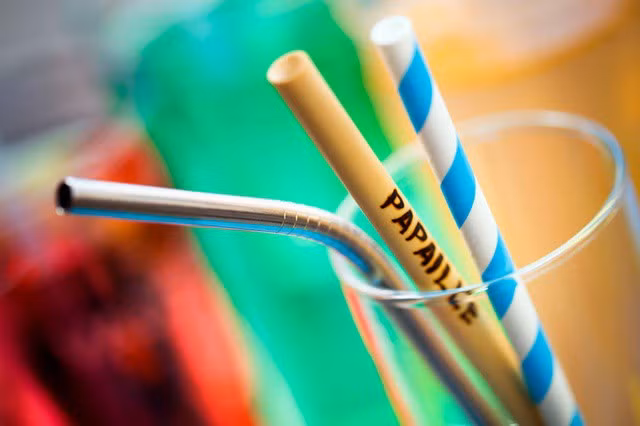 thanh pho thuy si dau tien cam ong hut nhua