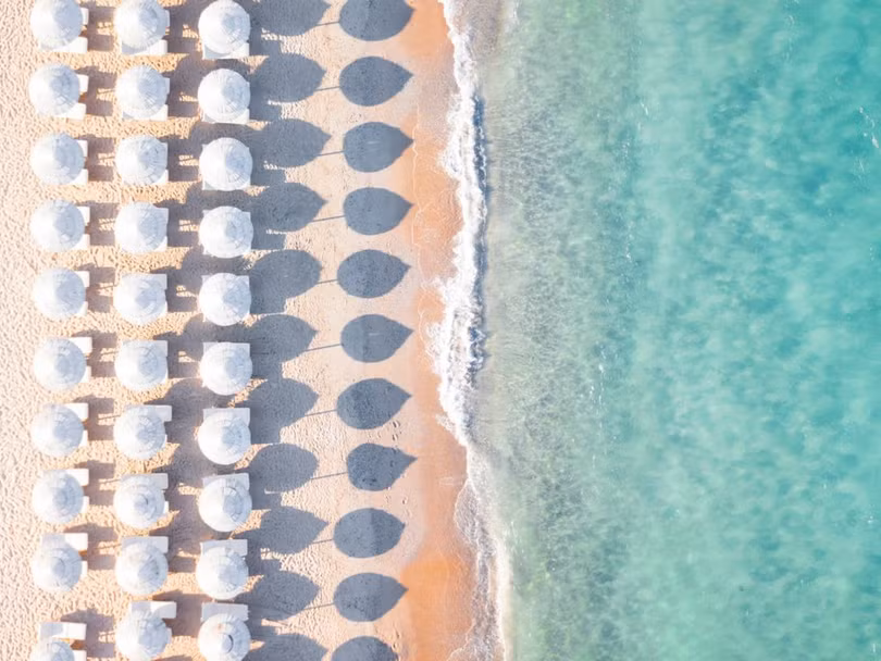 Thế giới ấn tượng từ góc nhìn loài chim