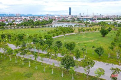 Hơn 141.000 cây xanh đã được trồng mới ở TP Hà Tĩnh