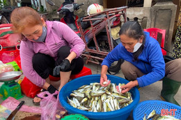 “Ngon hơn thịt gà” – Lời rao bán đưa cá nóc độc vào bữa ăn 