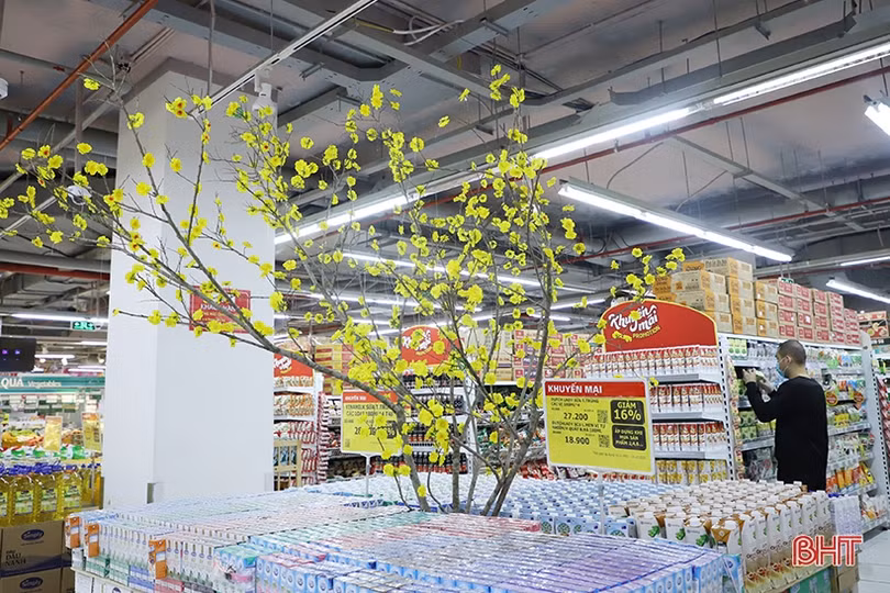 Ngập tràn không khí tết trong các gian hàng ở Hà Tĩnh