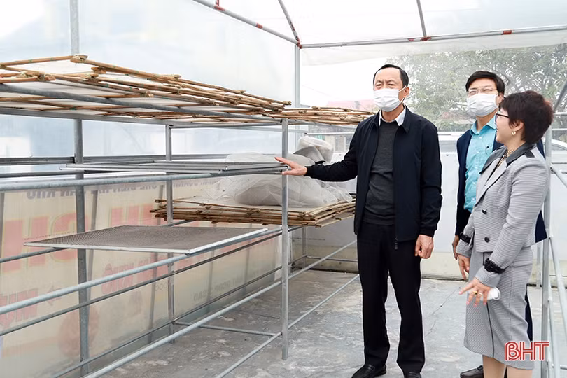 Tạo điều kiện để các cơ sở OCOP mở rộng quy mô, nhà xưởng
