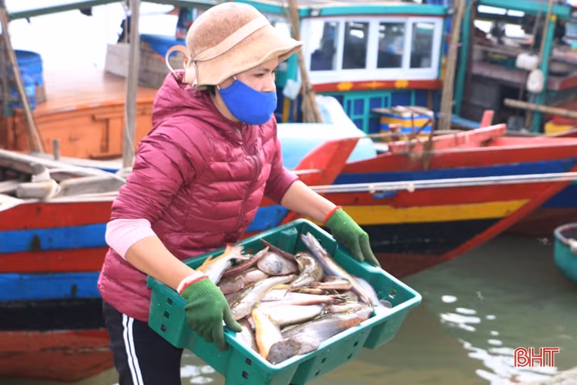 Vượt khó vươn khơi, ngư dân Hà Tĩnh chờ “tết ấm”