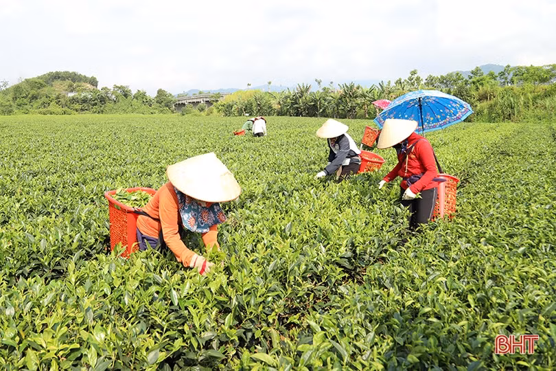 Hương Sơn chạm đích huyện nông thôn mới
