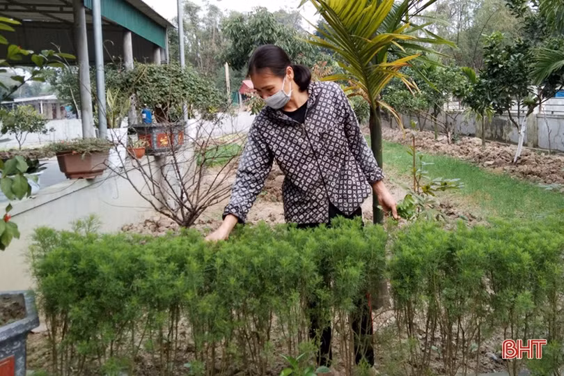 Thạch Hà có 40 khu dân cư NTM kiểu mẫu được công nhận năm 2021
