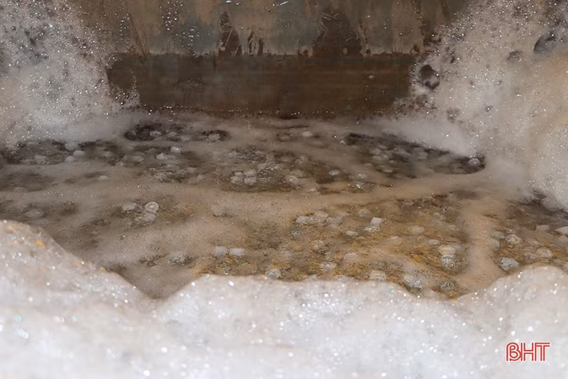 “Mục sở thị” mô hình nuôi tôm bằng công nghệ lọc tuần hoàn ở Hà Tĩnh