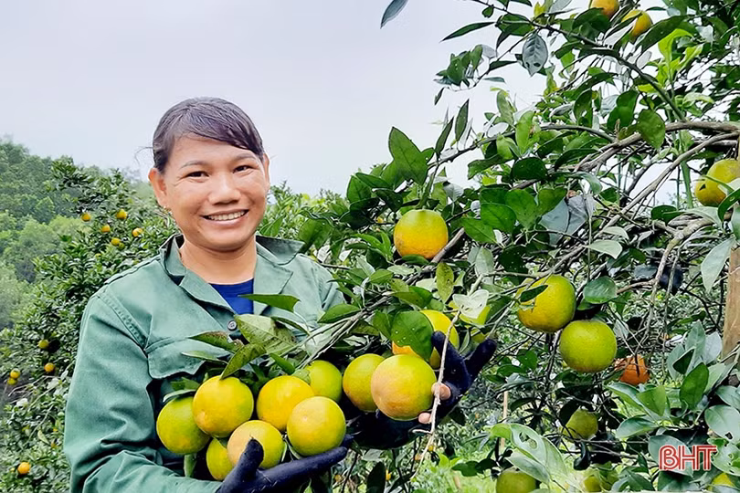 Hương Sơn chạm đích huyện nông thôn mới