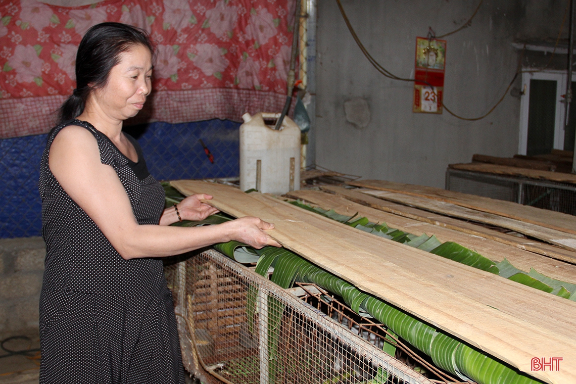 Nông dân huyện miền núi Hà Tĩnh đầu tư lớn, “hồi sinh” nghề nuôi thỏ