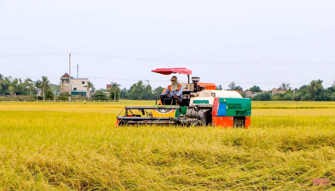 Nắm thời cơ, vượt thách thức, Hà Tĩnh nỗ lực phát triển kinh tế, đảm bảo an sinh xã hội