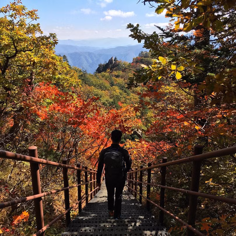 Ngắm mùa lá đỏ Hàn Quốc tuyệt đẹp dịp thu về