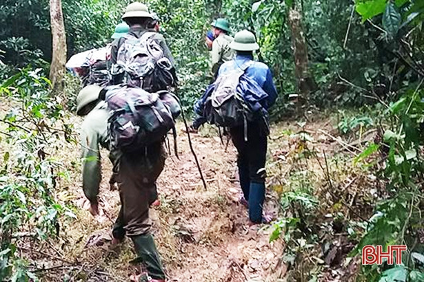 9 tháng, 206 vụ vi phạm pháp luật về bảo vệ, phát triển rừng