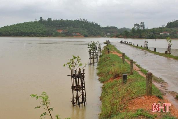 Trồng cây xanh “được chăng hay chớ”: Chết nhiều hơn sống!