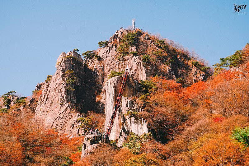 Ngắm mùa lá đỏ Hàn Quốc tuyệt đẹp dịp thu về