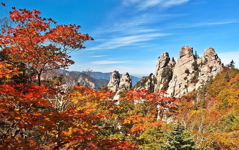 Ngắm mùa lá đỏ Hàn Quốc tuyệt đẹp dịp thu về