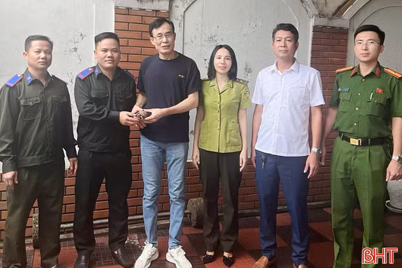 Người dân Hà Tĩnh tự nguyện giao nộp cá thể rùa núi vàng quý hiếm