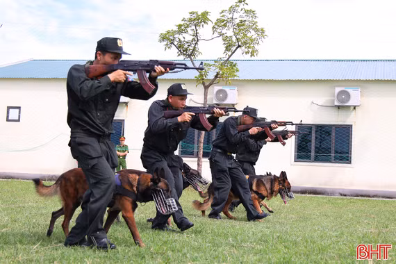 Huấn luyện cảnh khuyển, sẵn sàng hỗ trợ phá án