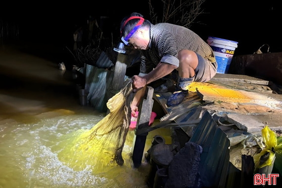 Nhộn nhịp mùa rươi trên các bãi bồi ven sông Hà Tĩnh