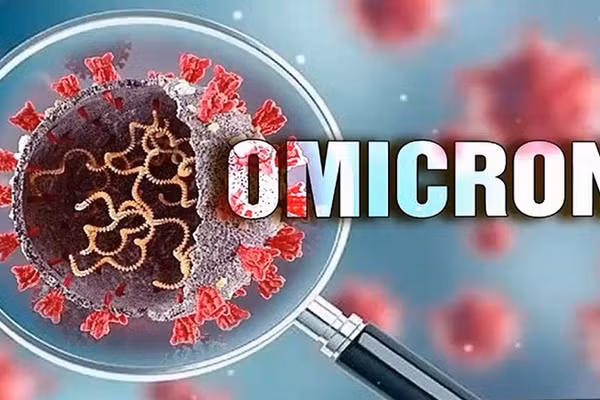 14 ca COVID-19 nhập cảnh nhiễm biến chủng Omicron, Bộ Y tế yêu cầu mở rộng điều tra dịch tễ ảnh 4 14 ca COVID-19 nhập cảnh nhiễm biến chủng Omicron, Bộ Y tế yêu cầu mở rộng điều tra dịch tễ