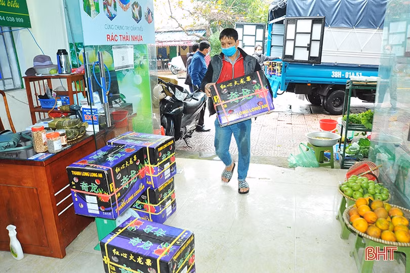 Người dân Hà Tĩnh đội mưa “giải cứu” thanh long ứ đọng ở cửa khẩu Tân Thanh 