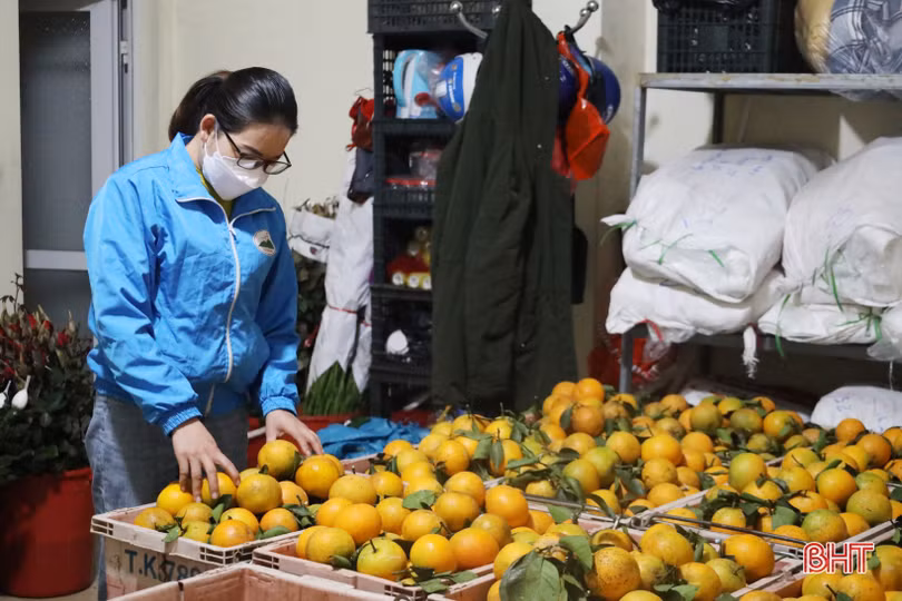Doanh nghiệp Hà Tĩnh chủ động nguồn hàng phục vụ thị trường tết