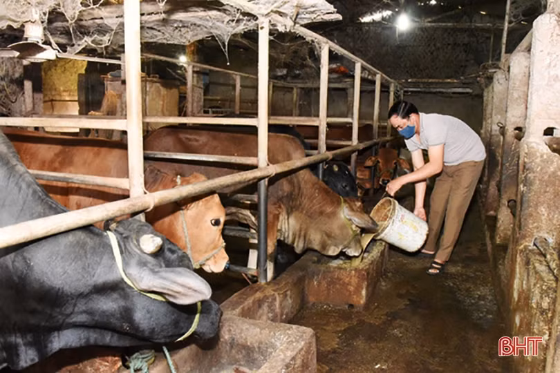 Nông dân Lộc Hà phát huy vai trò chủ thể trong xây dựng nông thôn mới