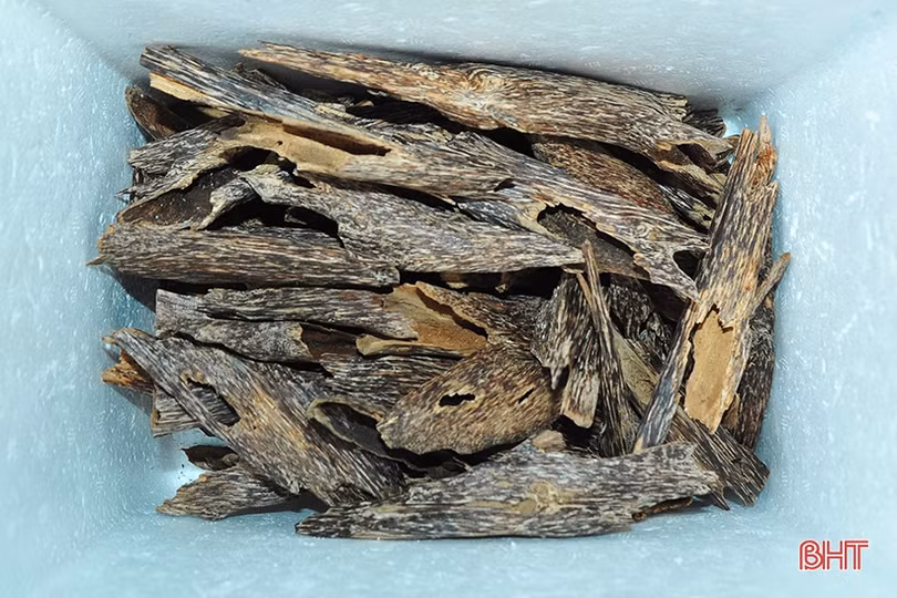 Cơ sở sản xuất trầm hương OCOP ở Hà Tĩnh vào mùa “trả hàng” tết