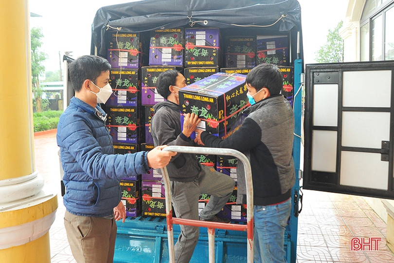 Người dân Hà Tĩnh đội mưa “giải cứu” thanh long ứ đọng ở cửa khẩu Tân Thanh