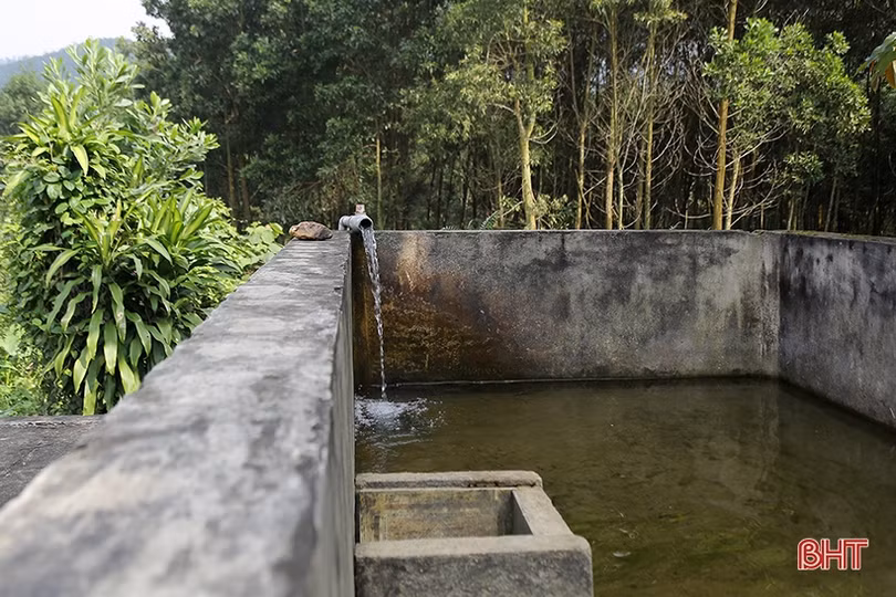 Chuyện về nông trường cao su 3 “không” ở vùng biên Hà Tĩnh