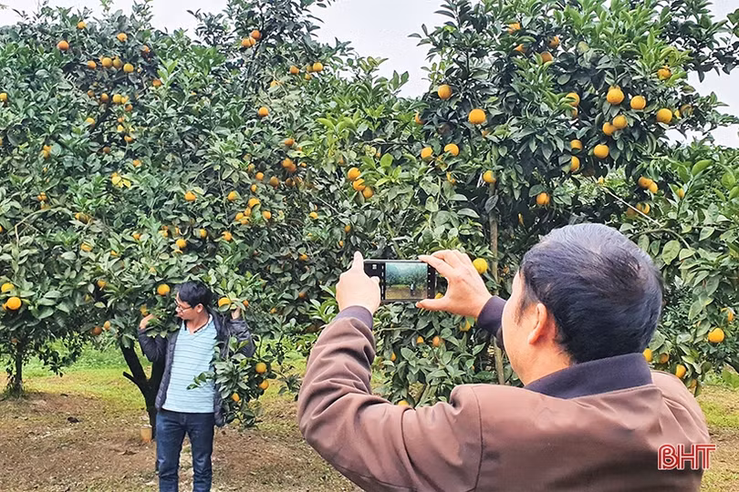 Linh hoạt thích ứng, Hà Tĩnh khởi động mùa du lịch 2022 bằng các tour/tuyến nội tỉnh